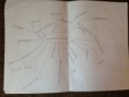 /album/les-1-mindmap-maken/img-0616-jpg/
